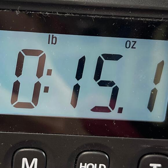 For Cynthia Women Black Vest Embroidered Full Zip Soft Vest Size L - Picture 10 of 11